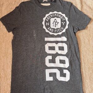 Abercrombie & Fitch Gray Graphic Tee